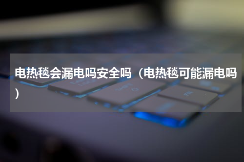 电热毯会漏电吗安全吗(电热毯可能漏电吗)