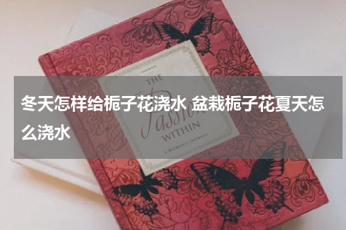 冬天怎样给栀子花浇水 盆栽栀子花夏天怎么浇水