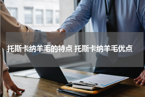 托斯卡纳羊毛的特点 托斯卡纳羊毛优点