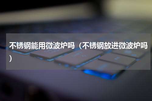 不锈钢能用微波炉吗(不锈钢放进微波炉吗)