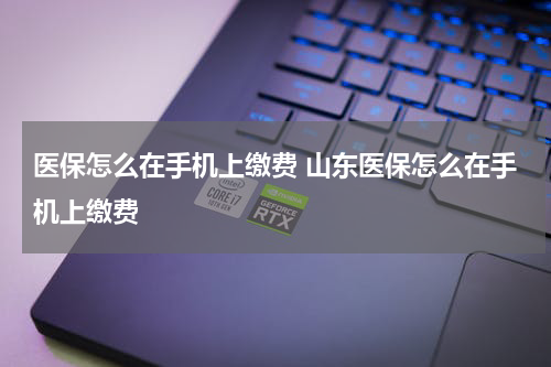 医保怎么在手机上缴费 山东医保怎么在手机上缴费