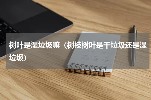 树叶是湿垃圾嘛（树枝树叶是干垃圾还是湿垃圾）