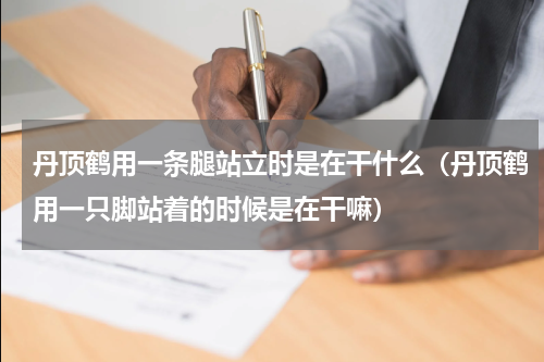 丹顶鹤用一条腿站立时是在干什么（丹顶鹤用一只脚站着的时候是在干嘛）