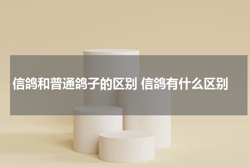 信鸽和普通鸽子的区别 信鸽有什么区别