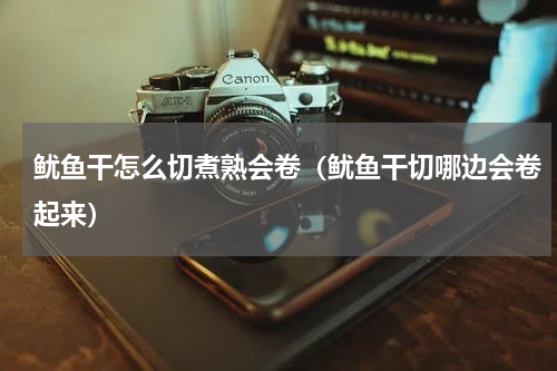 鱿鱼干怎么切煮熟会卷（鱿鱼干切哪边会卷起来）