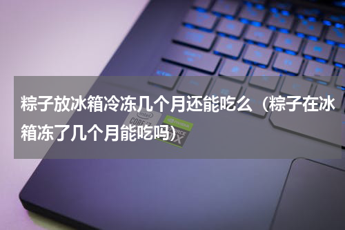 粽子放冰箱冷冻几个月还能吃么（粽子在冰箱冻了几个月能吃吗）
