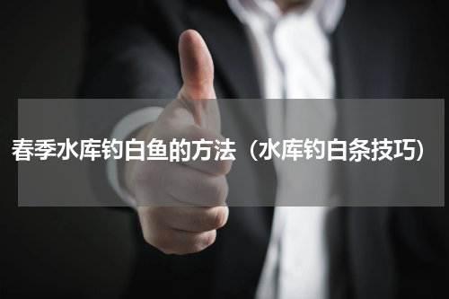 春季水库钓白鱼的方法（水库钓白条技巧）