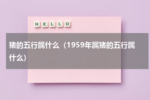 猪的五行属什么（1959年属猪的五行属什么）