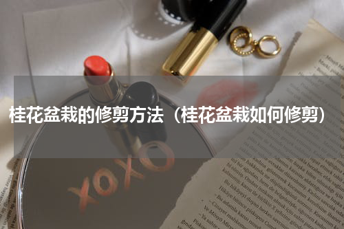 桂花盆栽的修剪方法（桂花盆栽如何修剪）