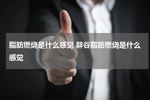 脂肪燃烧是什么感觉 辟谷脂肪燃烧是什么感觉