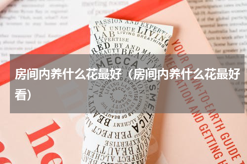 房间内养什么花最好（房间内养什么花最好看）