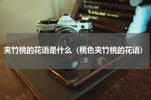 夹竹桃的花语是什么（桃色夹竹桃的花语）