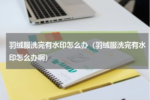 羽绒服洗完有水印怎么办(羽绒服洗完有水印怎么办啊)