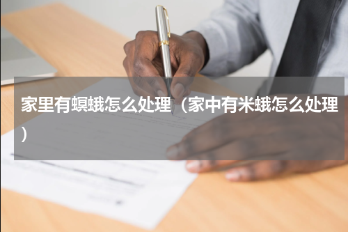 家里有螟蛾怎么处理（家中有米蛾怎么处理）