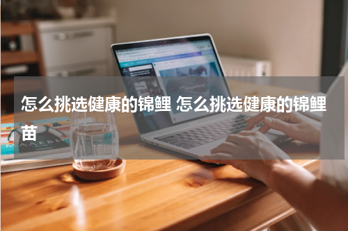 怎么挑选健康的锦鲤 怎么挑选健康的锦鲤苗