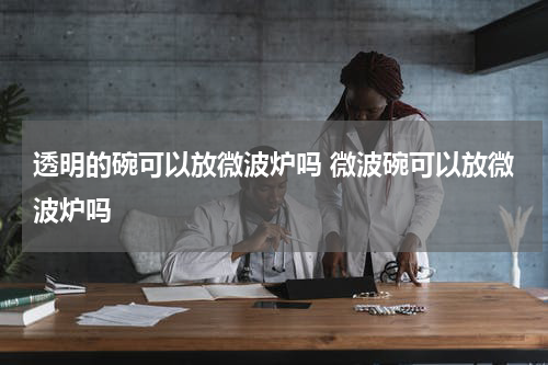 透明的碗可以放微波炉吗 微波碗可以放微波炉吗