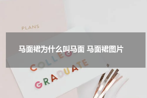 马面裙为什么叫马面 马面裙图片