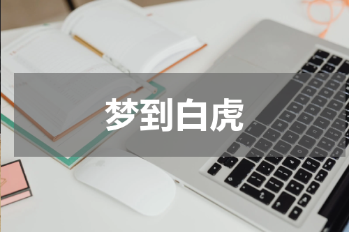 梦到白虎
