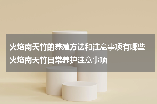 火焰南天竹的养殖方法和注意事项有哪些 火焰南天竹日常养护注意事项