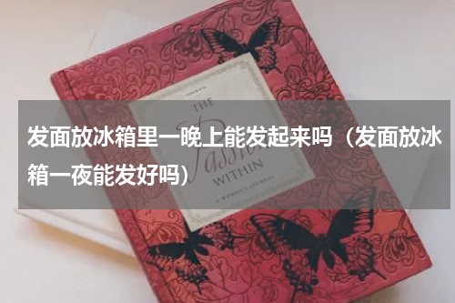 发面放冰箱里一晚上能发起来吗（发面放冰箱一夜能发好吗）