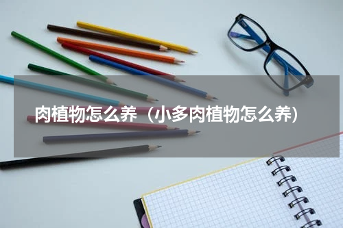 肉植物怎么养（小多肉植物怎么养）