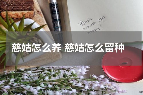 慈姑怎么养 慈姑怎么留种