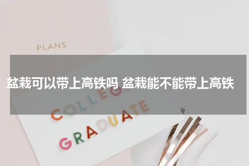 盆栽可以带上高铁吗 盆栽能不能带上高铁