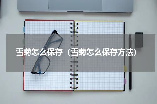 雪菊怎么保存（雪菊怎么保存方法）