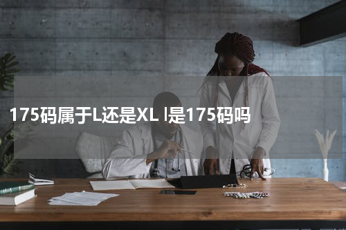 175码属于L还是XL l是175码吗