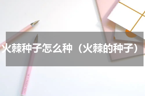 火棘种子怎么种（火棘的种子）