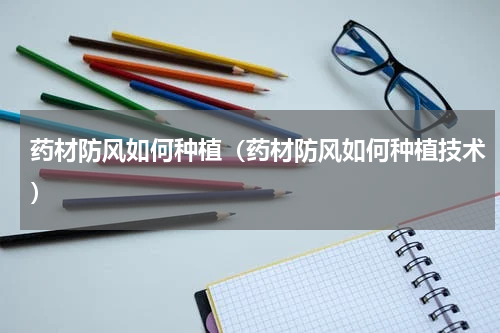 药材防风如何种植（药材防风如何种植技术）