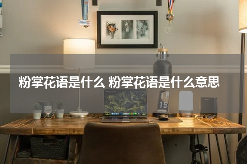 粉掌花语是什么 粉掌花语是什么意思