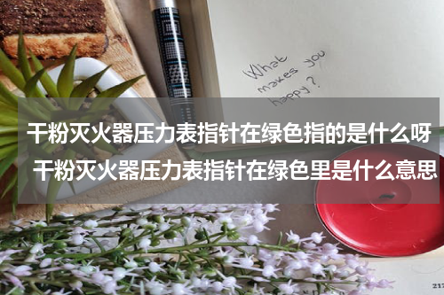 干粉灭火器压力表指针在绿色指的是什么呀 干粉灭火器压力表指针在绿色里是什么意思