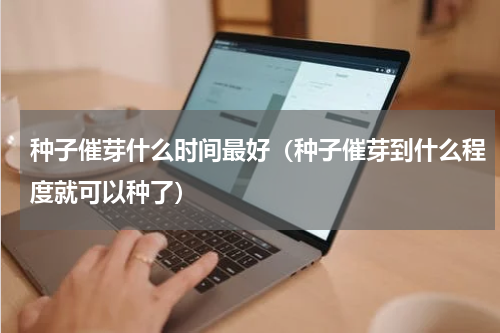 种子催芽什么时间最好（种子催芽到什么程度就可以种了）