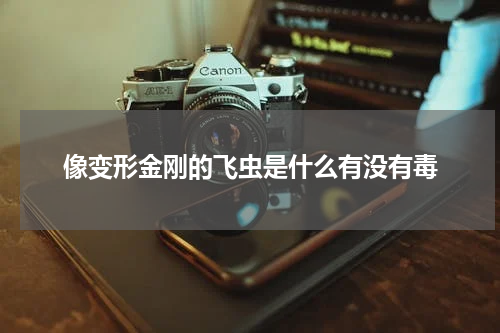 像变形金刚的飞虫是什么有没有毒