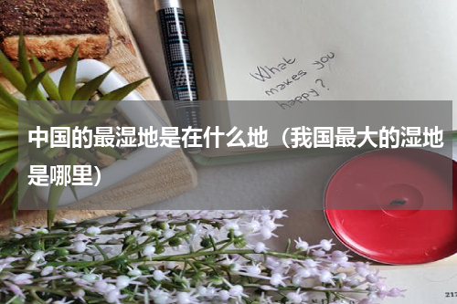 中国的最湿地是在什么地（我国最大的湿地是哪里）