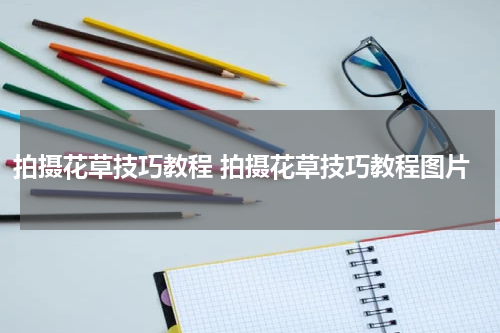 拍摄花草技巧教程 拍摄花草技巧教程图片