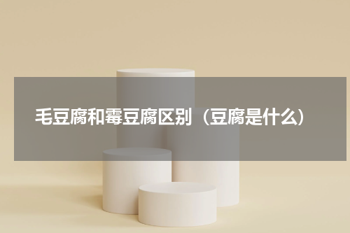 毛豆腐和霉豆腐区别（豆腐是什么）