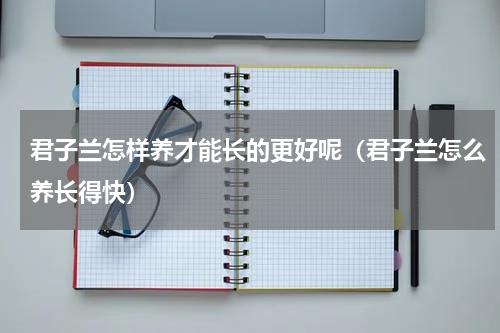 君子兰怎样养才能长的更好呢（君子兰怎么养长得快）