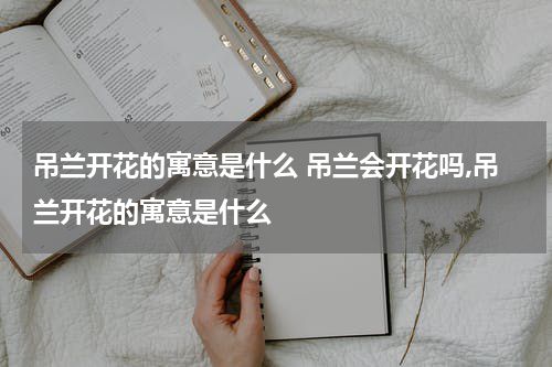 吊兰开花的寓意是什么 吊兰会开花吗,吊兰开花的寓意是什么