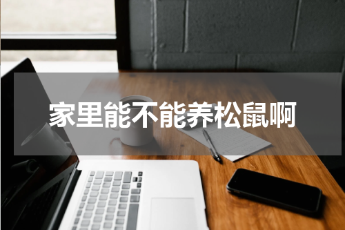 家里能不能养松鼠啊