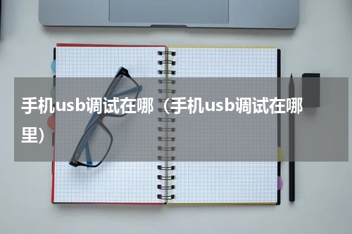 手机usb调试在哪（手机usb调试在哪里）
