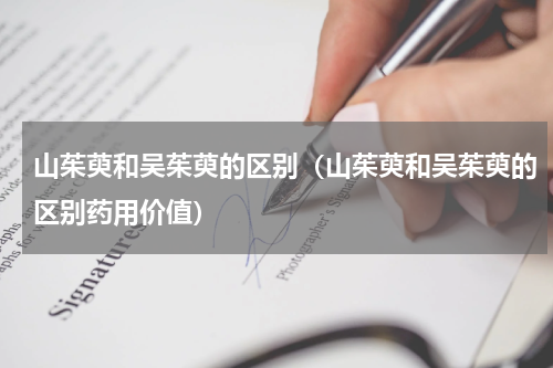 山茱萸和吴茱萸的区别（山茱萸和吴茱萸的区别药用价值）