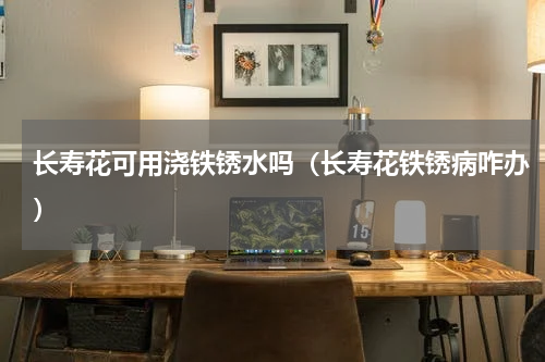长寿花可用浇铁锈水吗（长寿花铁锈病咋办）