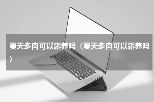 夏天多肉可以露养吗（夏天多肉可以露养吗）