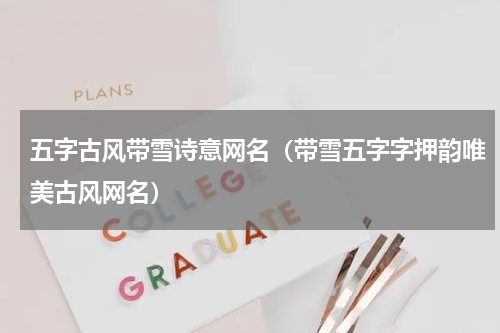 五字古风带雪诗意网名（带雪五字字押韵唯美古风网名）