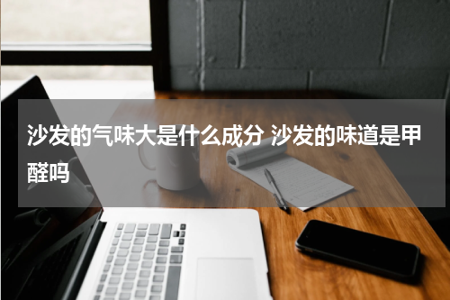 沙发的气味大是什么成分 沙发的味道是甲醛吗