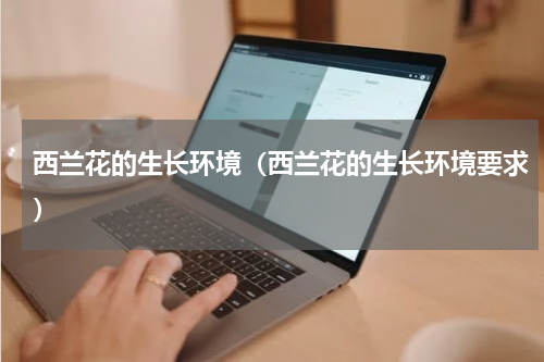 西兰花的生长环境(西兰花的生长环境要求)