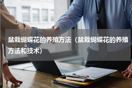 盆栽蝴蝶花的养殖方法（盆栽蝴蝶花的养殖方法和技术）