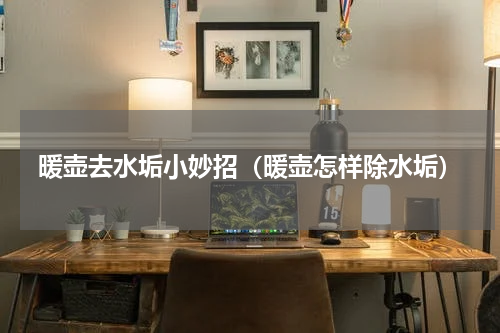 暖壶去水垢小妙招（暖壶怎样除水垢）